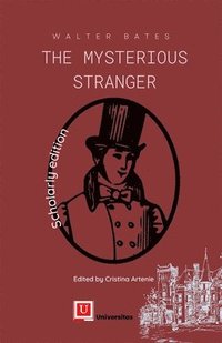 bokomslag The Mysterious Stranger