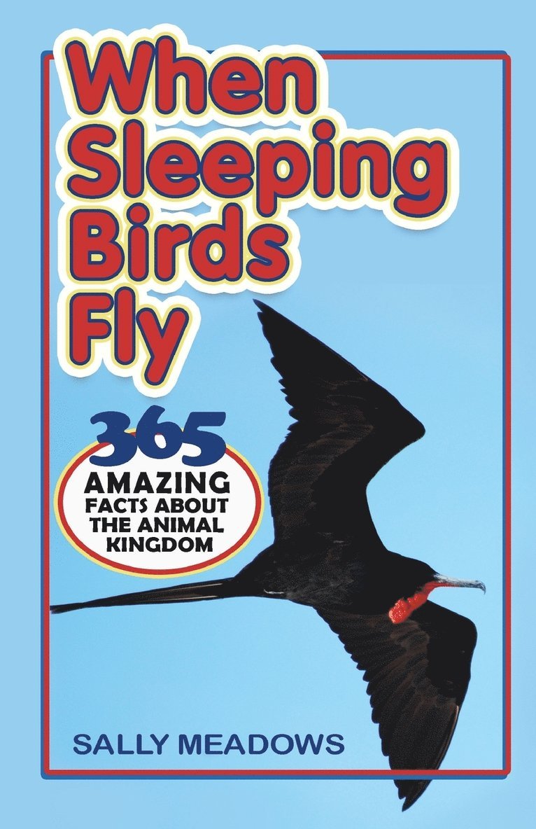 Sally Meadows - When Sleeping Birds Fly, Häftad