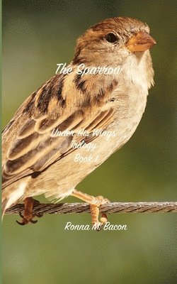 bokomslag The Sparrow