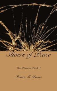 bokomslag Slivers of Peace