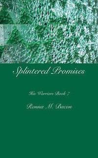 bokomslag Splintered Promises