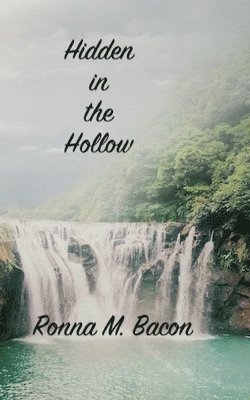 Hidden in the Hollow 1