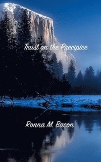 bokomslag Trust on the Precipice
