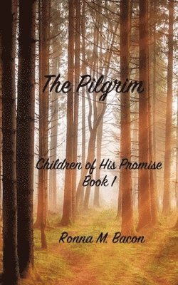 bokomslag Pilgrim