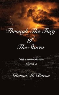bokomslag Through The Fury of The Storm