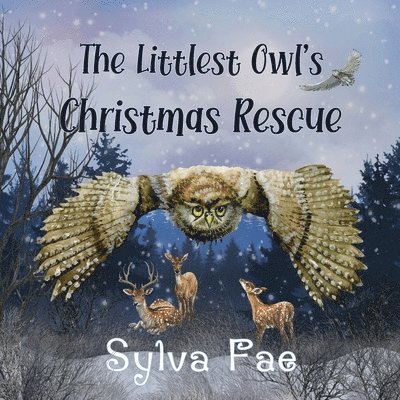 The Littlest Owl's Christmas Rescue 1