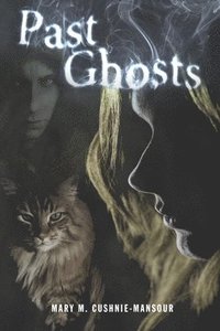 bokomslag Past Ghosts: A Detective Toby Mystery