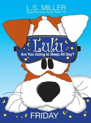 bokomslag Lulu, Are You Going to Sleep All Day? FRIDAY