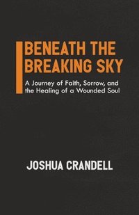 bokomslag Beneath the Breaking Sky
