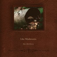 bokomslag Like Mushrooms