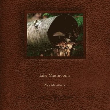bokomslag Like Mushrooms