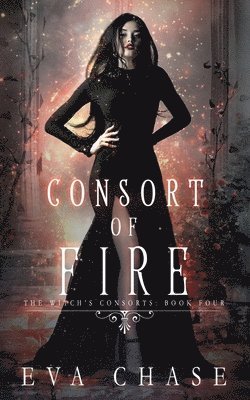 bokomslag Consort of Fire