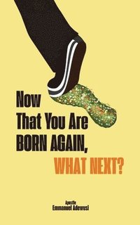 bokomslag Now That You Are Born Again, What Next?