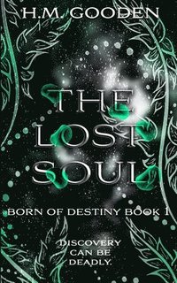 bokomslag The Lost Soul