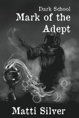 Matti Silver - Dark School, Häftad