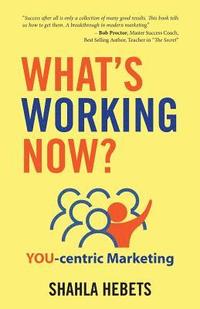 bokomslag What's Working Now?: YOU-centric Marketing