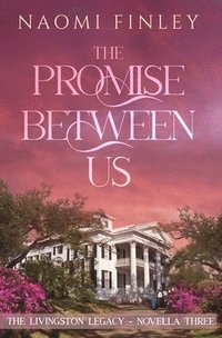 bokomslag Promise Between Us
