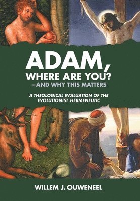 bokomslag Adam, Where Are You?