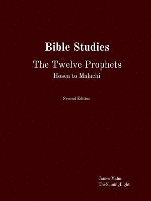 James Malm - Bible Studies The Twelve Prophets Hosea to Malachi, Häftad