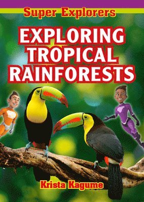 bokomslag Exploring Tropical Rainforests