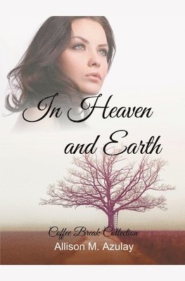 bokomslag In Heaven and Earth