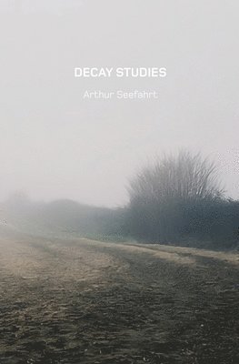 Arthur Seefahrt - Decay Studies U.S. Edition, Häftad