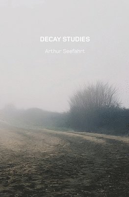 bokomslag Decay Studies U.S. Edition