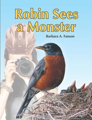 bokomslag Robin Sees a Monster: From Egg to Robin