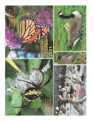 Barbara a. Fanson - Wildlife Calendar 2021, Häftad