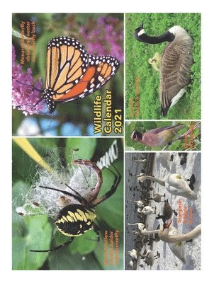 Wildlife Calendar 2021 1