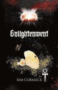 bokomslag Enlightenment