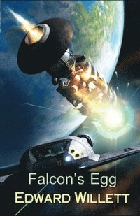 bokomslag Falcon's Egg