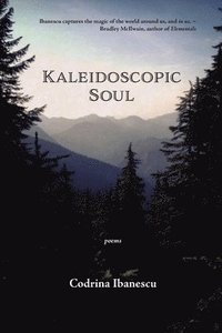 bokomslag Kaleidoscopic Soul
