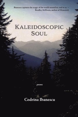 Kaleidoscopic Soul 1