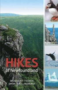 bokomslag Hikes of Newfoundland