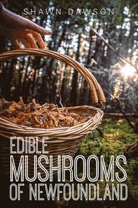 bokomslag Edible Mushrooms of Newfoundland