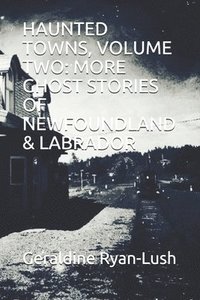 bokomslag Haunted Towns, Volume Two: More Ghost Stories of Newfoundland & Labrador