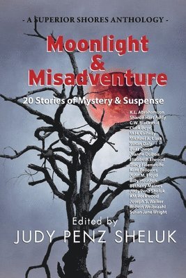 Judy Penz Sheluk - Moonlight & Misadventure, Häftad