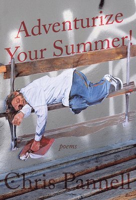 Chris Pannell - Adventurize Your Summer!, Häftad