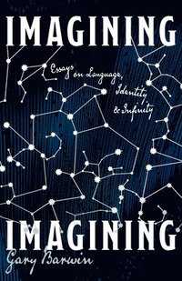 bokomslag Imagining Imagining: Essays on Language, Identity and Infinity