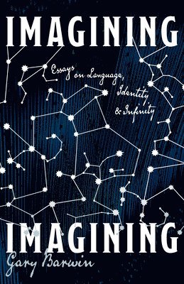 bokomslag Imagining Imagining: Essays on Language, Identity and Infinity