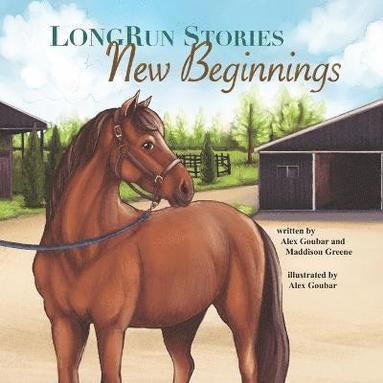 bokomslag LongRun Stories New Beginnings