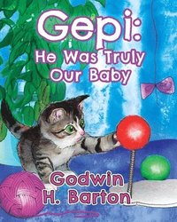 bokomslag Gepi