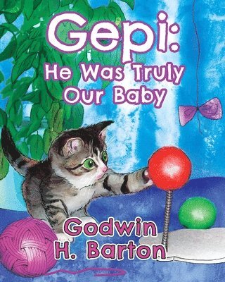 bokomslag Gepi: He was Truly Our Baby