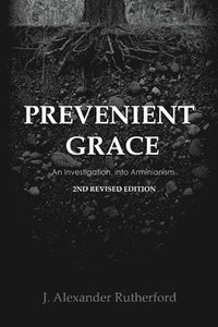 bokomslag Prevenient Grace