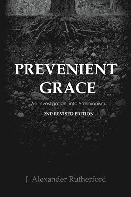 bokomslag Prevenient Grace