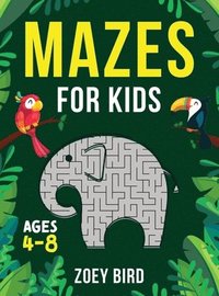 bokomslag Mazes for Kids, Volume 2