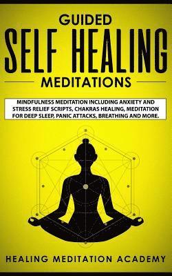 bokomslag Guided Self Healing Meditations