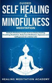 bokomslag Guided Self Healing & Mindfulness Meditation