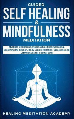 bokomslag Guided Self Healing & Mindfulness Meditation